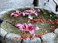 -鯛匠 HANANA