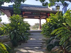 -江心屿景区