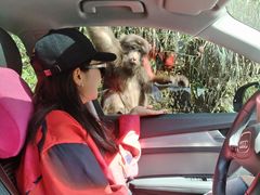 -西岭雪山大飞水景区