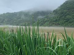 -新安江山水画廊风景区