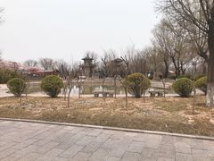 -大槐树寻根祭祖园