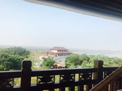 -大湾区中央湿地公园