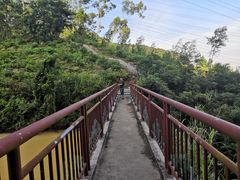 -中山市树木园