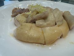 -龙悦湾酒家·八阵鱼生·渔人码头店