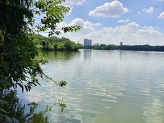 -海珠湖公园