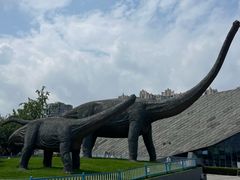 -安徽省地质博物馆