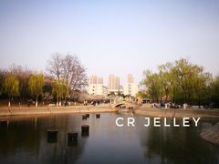 -山东理工大学