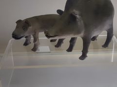 -旅顺博物馆
