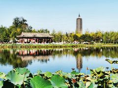 -西海子公园