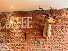 -Vanilla Specialty Coffee(八大关店)