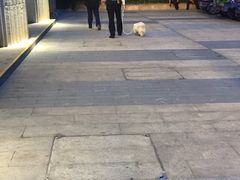 -布吉佳兆业广场