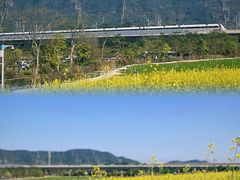 -光明小镇欢乐田园