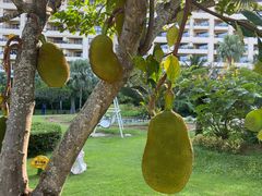 -三亚亚龙湾天域度假酒店