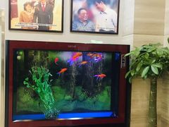 -手佳按摩·足疗·艾灸(龙江店)