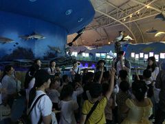 -烟台海昌鲸鲨海洋公园