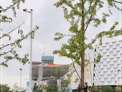 -武汉亚心总医院