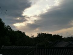 -糖房咖啡(南锣鼓巷店)