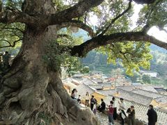 -杨家堂村