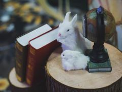 -Timo队长·高端生日派对策划机构(静安寺店)