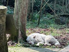 -贵阳猴耳天坑·极限酷玩公园
