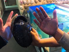 -同乐酒楼(皇后镇店)