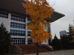 -陕西师范大学(雁塔校区)