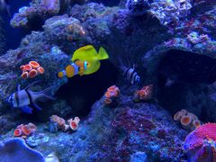 -成都浩海立方海洋公园