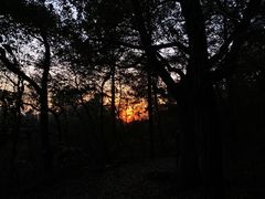 -杭州半山国家森林公园