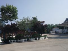 -诸城服务区-停车场