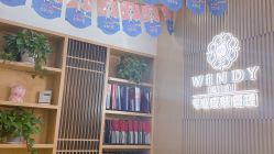 点击看大图 -WENDY·温迪皮肤管理