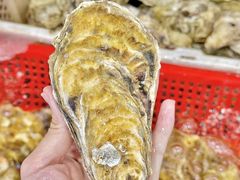 -坛南湾阿强农家乐.海鲜大排档老字号(福州地标美食店)