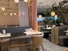-船歌·鱼水饺青岛菜(恒隆广场店)