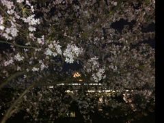 -武汉大学-樱园