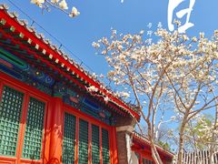 -陶然亭公园