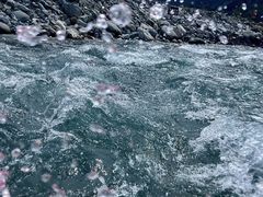 -虹口漂流