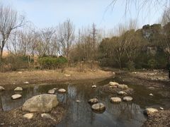 -新江湾城公园