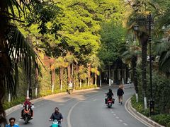 -橡皮书店(翠湖北路店)