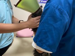 -深圳野生动物园宠物医院(西湖林语店)