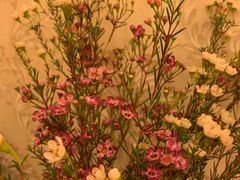 -循礼门鲜花花市(武汉循礼门店)