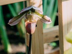 -国家植物园南园