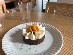 -猫里有甜