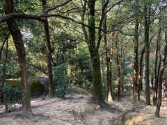 -火炉山森林公园