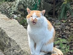-华山风景名胜区