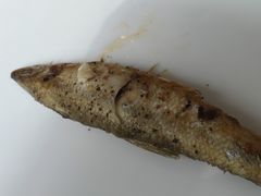 -海天一色海景自助餐厅(西港花园店)