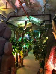 -恐龙探索乐园(磁器口店)