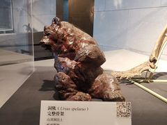 -北京周口店北京人遗址博物馆