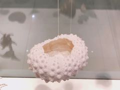 -青岛贝壳博物馆