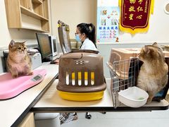-谐和益家动物医院·免疫绝育·血液透析·宠保定点医院(高新伊藤分院)