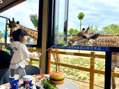 -西霞口神雕山野生动物世界