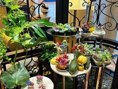 -深圳威尼斯英迪格酒店-邻芙花廊下午茶·NINFA GALLERY·蛋糕·咖啡